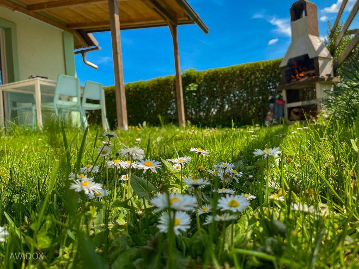 Green Oasis Garden Šenčur Eksteriør billede