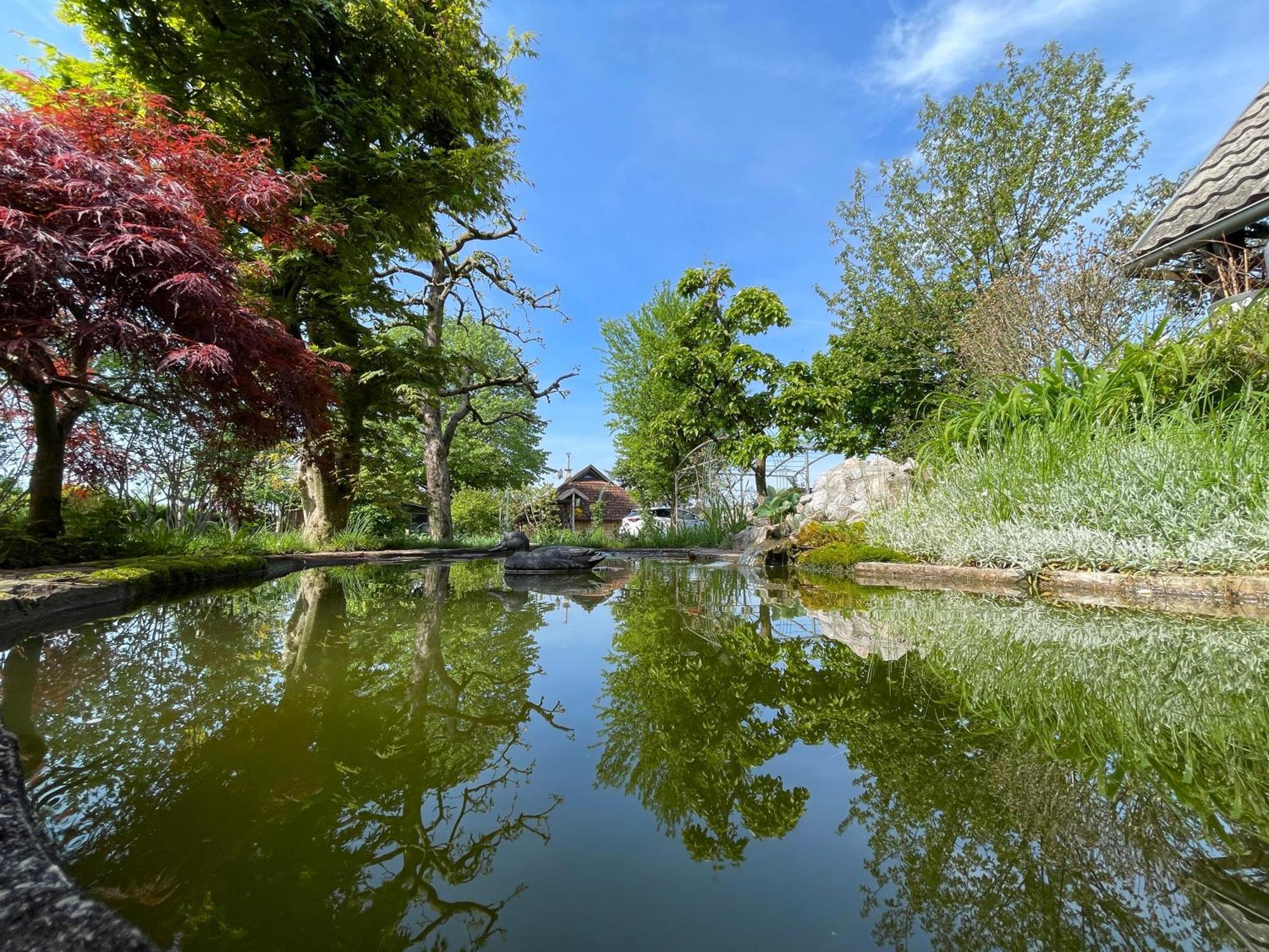 Green Oasis Garden Šenčur Eksteriør billede
