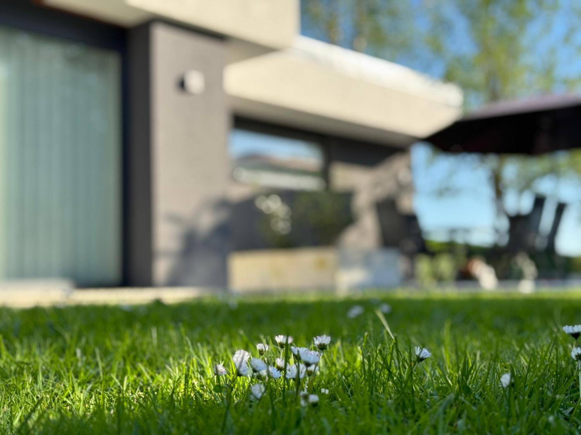 Green Oasis Garden Šenčur Eksteriør billede