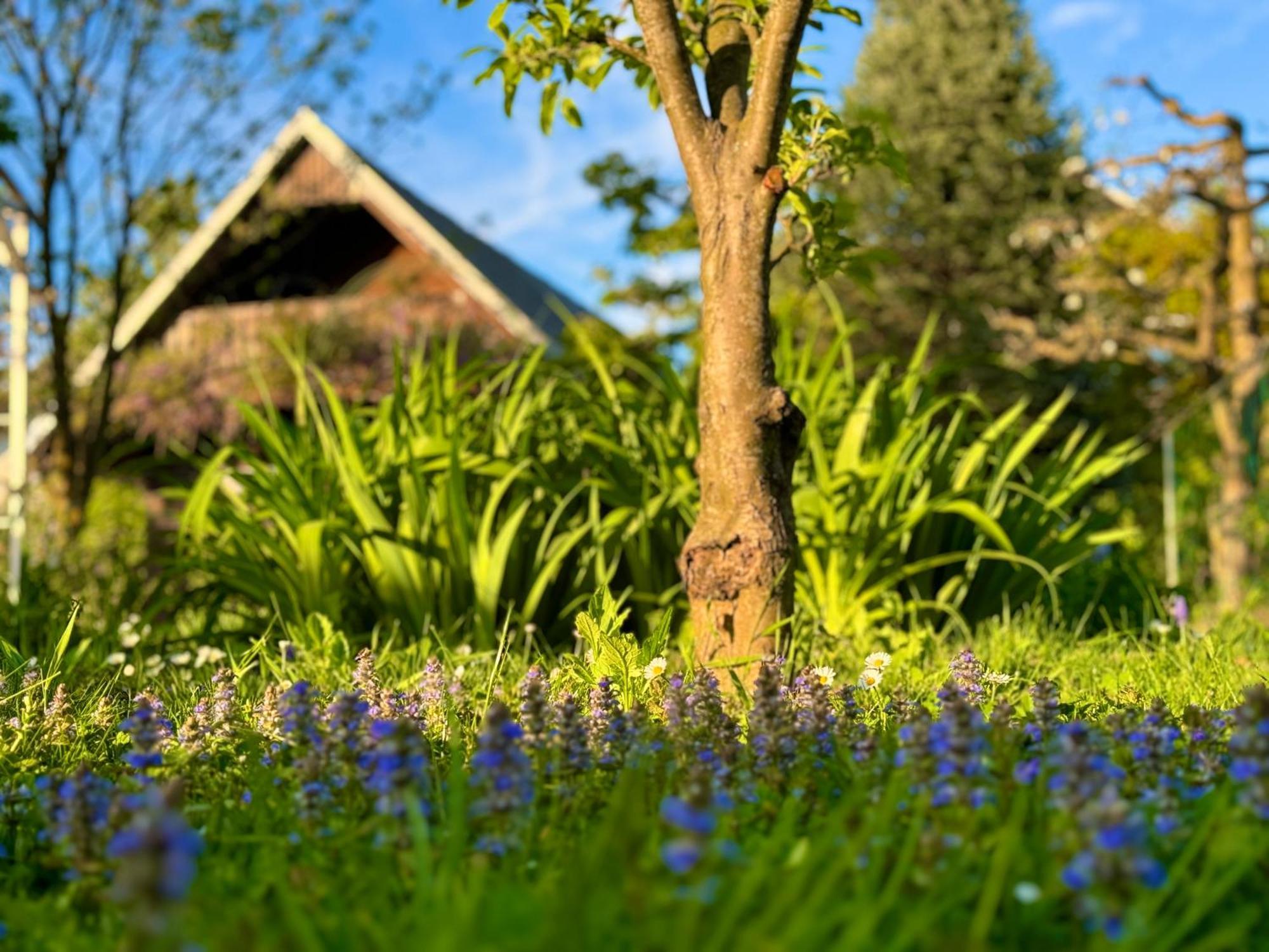 Green Oasis Garden Šenčur Eksteriør billede